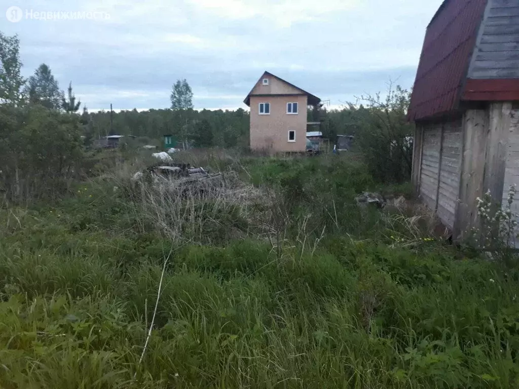 Екатеринбург садовое товарищество. СНТ Екатеринбург.