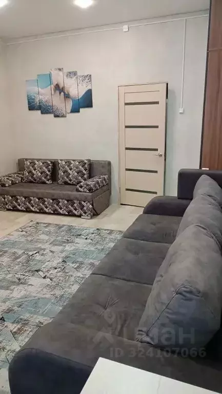 1-к кв. Саратовская область, Хвалынск ул. Достоевского, 39 (55.0 м) - Фото 1