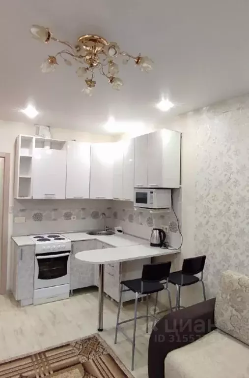 Студия Новосибирская область, Новосибирск ул. Кошурникова, 22 (26.0 м) - Фото 1