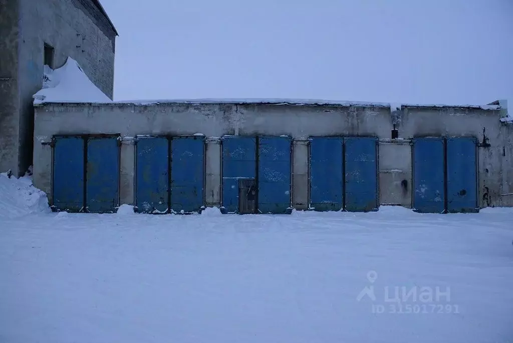 Помещение свободного назначения в Чукотский АО, Певек Чаунский район, ... - Фото 1