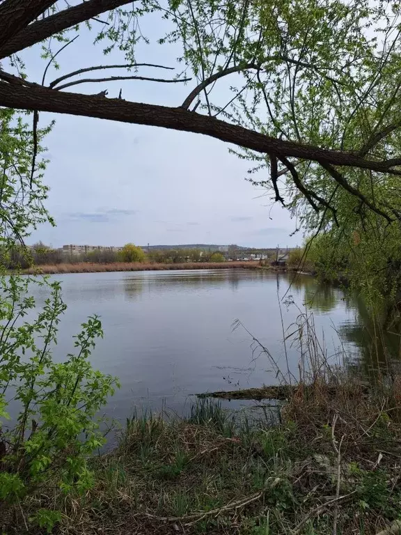 Дом в Саратовская область, Саратов Плодоягодная ул., 24 (12 м) - Фото 0