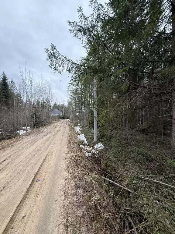 Участок в Московская область, Клин городской округ, Олимп СНТ 26 (8.0 ... - Фото 1