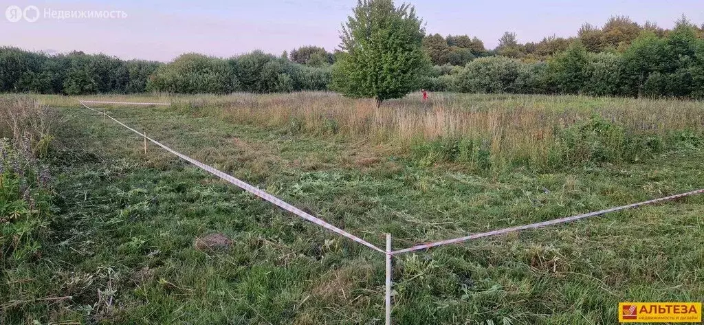 Участок в Калининградская область, Гурьевский муниципальный округ, ... - Фото 2