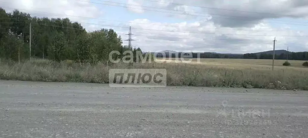 Участок в Новосибирская область, Тогучин  (1230.0 сот.) - Фото 0