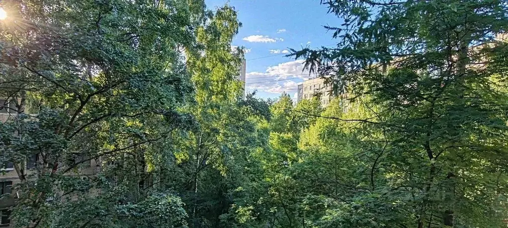 2-к кв. Санкт-Петербург Пискаревский просп., 17К3 (45.0 м) - Фото 2