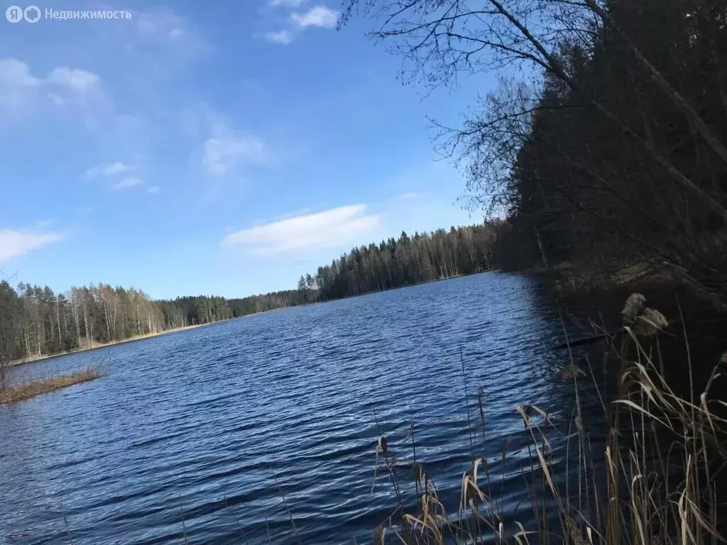 Участок в Республика Карелия, Лахденпохский муниципальный округ, ... - Фото 0