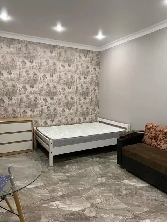 Студия Краснодарский край, Темрюкский район, Тамань ст-ца ул. Карла ... - Фото 2