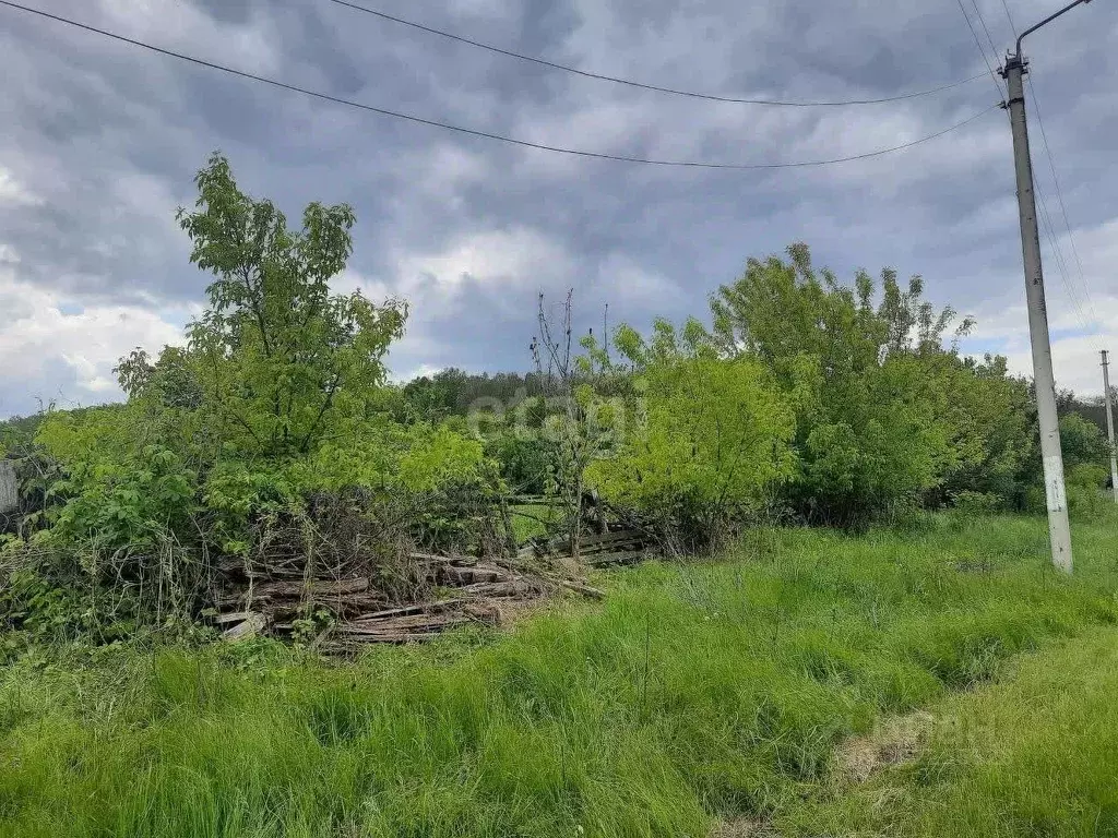 Дом в Белгородская область, Валуйский городской округ, с. Касеновка ... - Фото 1