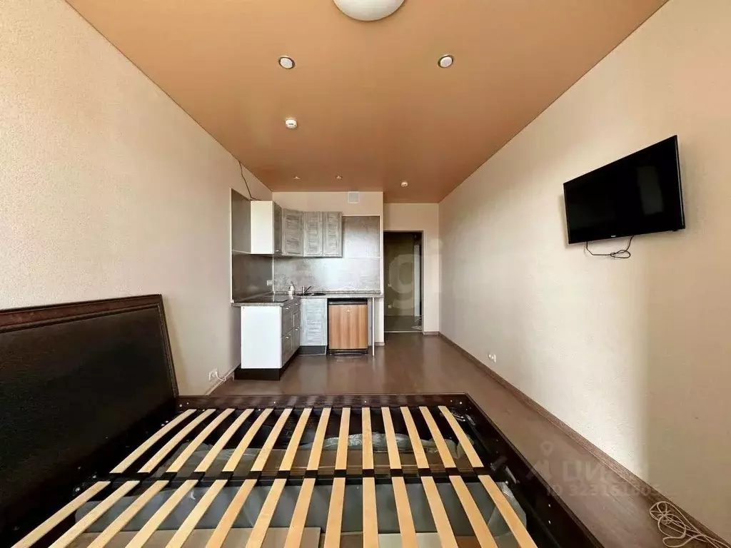 Студия Краснодарский край, Анапа Крепостная ул., 51к2 (33.6 м) - Фото 1