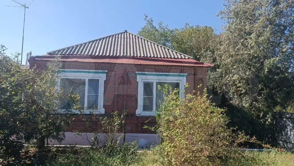 Дом 46 м на участке 4,5 га - Фото 1