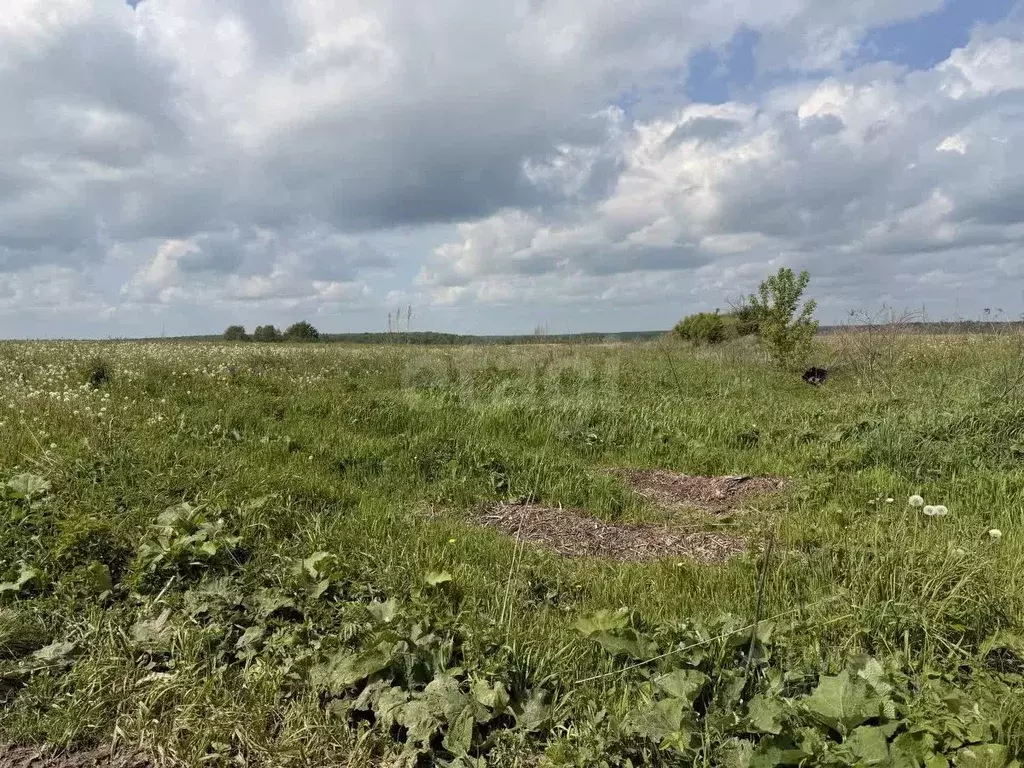Участок в Смоленская область, Смоленский муниципальный округ, д. ... - Фото 2