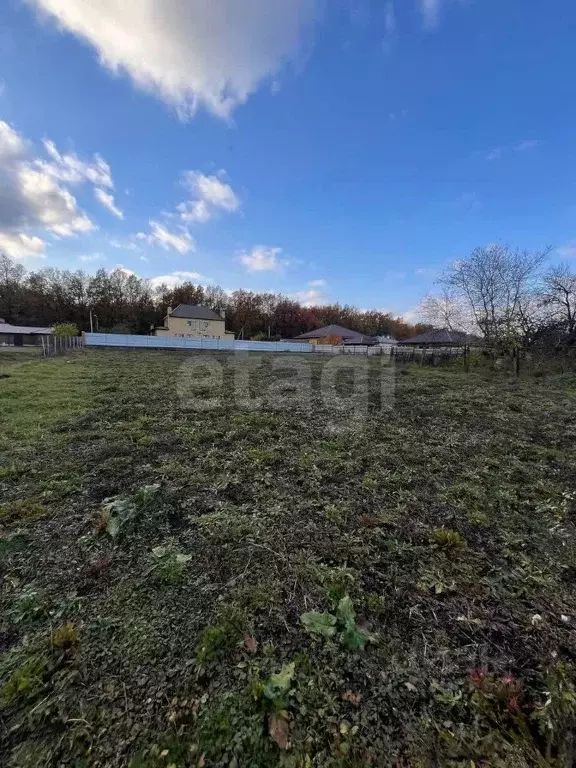 Участок в Липецкая область, Липецкий муниципальный округ, д. Ясная ... - Фото 1