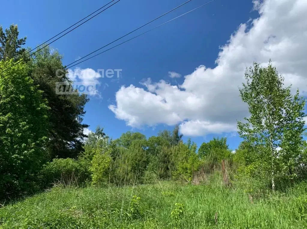 Участок в Московская область, Одинцовский городской округ, д. ... - Фото 0