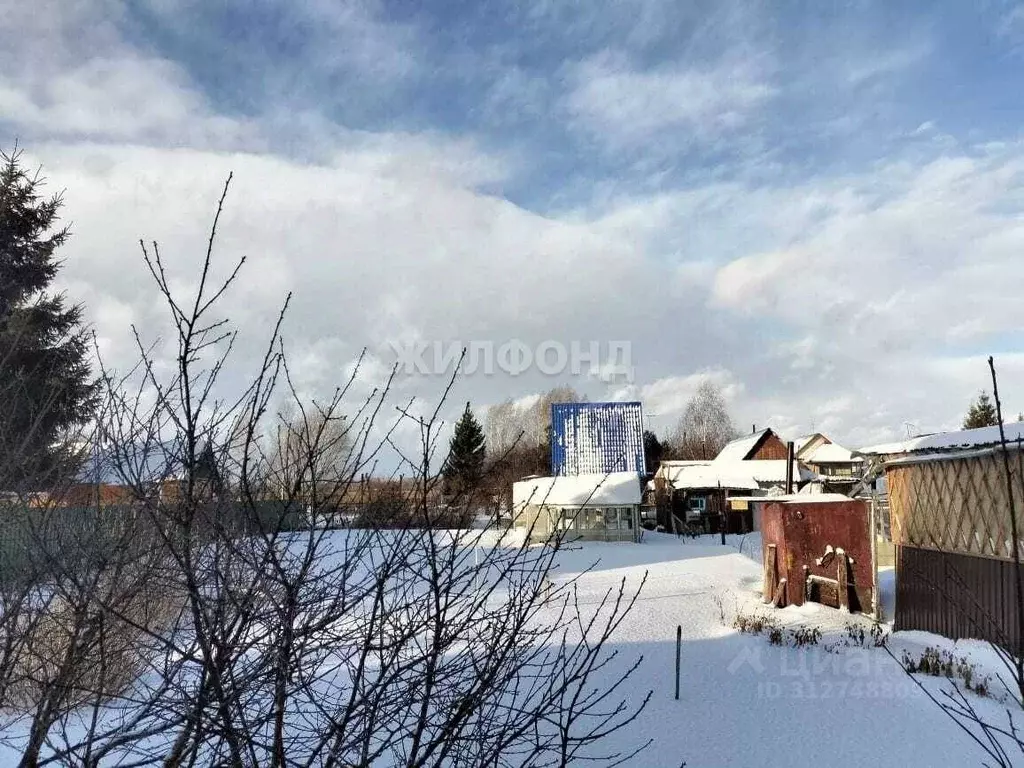 Дом в Новосибирская область, Новосибирский район, Толмачевский ... - Фото 1