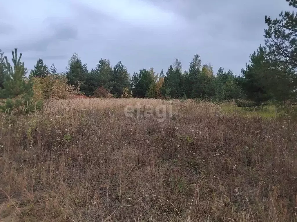 Участок в Татарстан, Высокогорское с/пос, Заря садоводческое ... - Фото 1