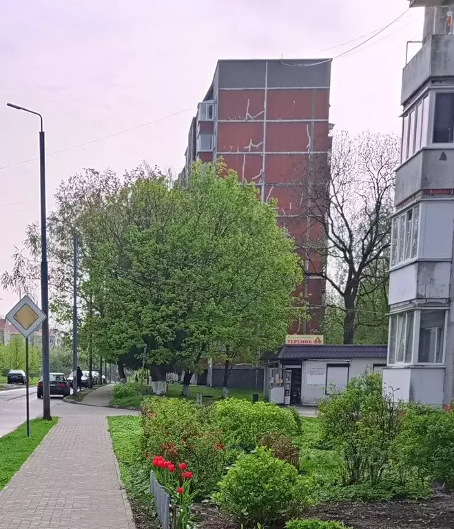 3-к кв. Калининградская область, Советск Каштановая ул., 20 (73.5 м) - Фото 1
