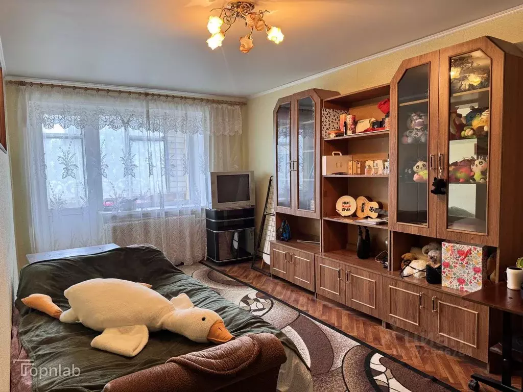 2-к кв. Орловская область, Орел ул. Андрианова, 1 (43.0 м) - Фото 1