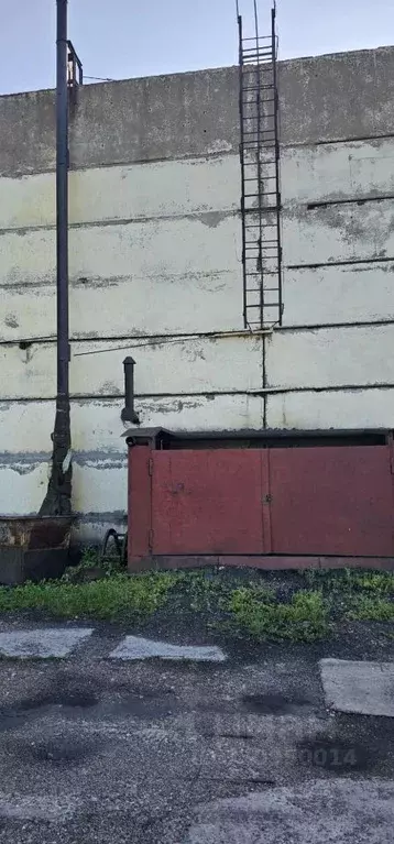 Помещение свободного назначения в Кемеровская область, Киселевск ул. ... - Фото 1
