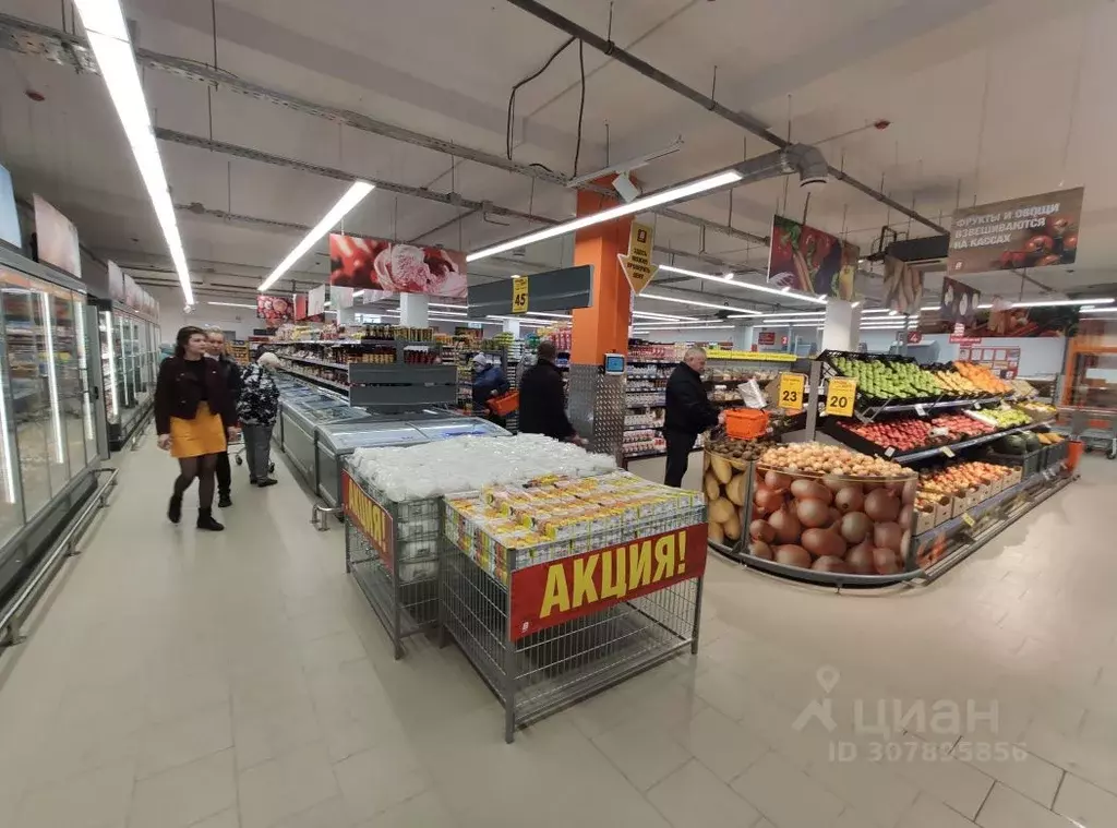 Помещение свободного назначения в Московская область, Дмитровский ... - Фото 1