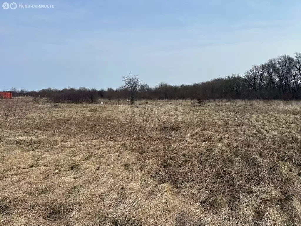 Участок в Калининградская область, Зеленоградский муниципальный округ, ... - Фото 1