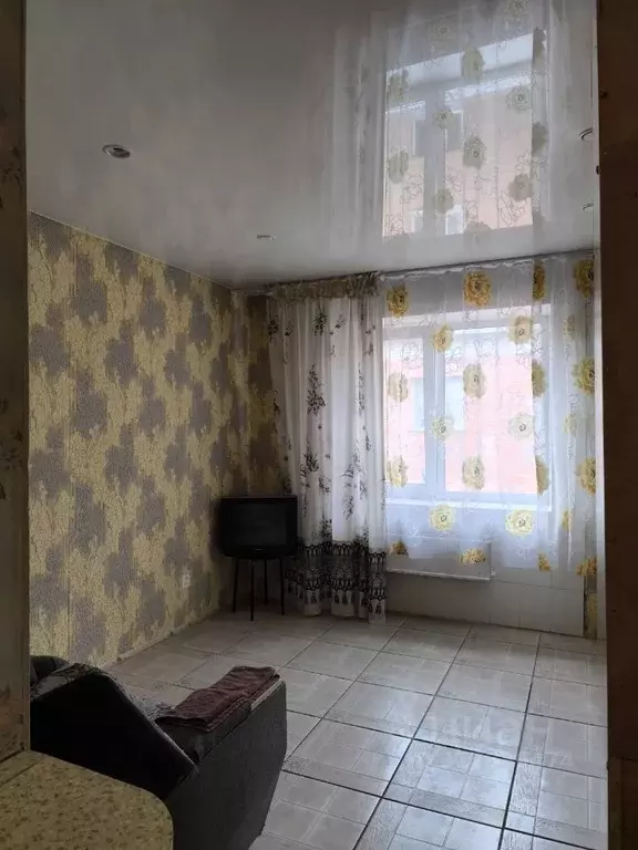 Студия Новосибирская область, Бердск Лунная ул., 30 (19.0 м) - Фото 1