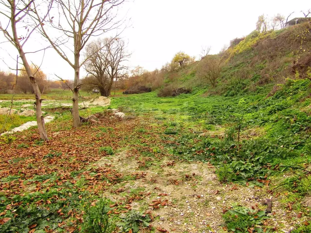 Участок в Ставропольский край, Предгорный муниципальный округ, с. Юца ... - Фото 2