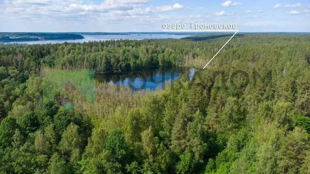 Участок в Ленинградская область, Приозерский район, Громовское с/пос, ... - Фото 0