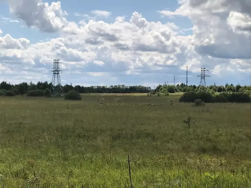 Участок в Ивановская область, Ивановский район, Коляновское с/пос, д. ... - Фото 2