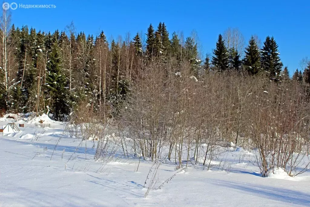 Участок в Республика Карелия, Лахденпохья (13.75 м) - Фото 1