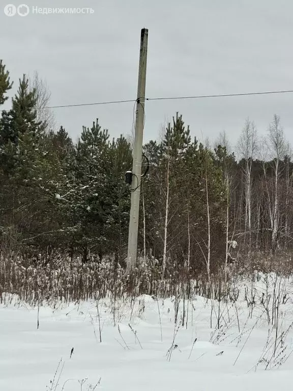 Участок в Екатеринбург, улица Кордон Шиловский (9.51 м) - Фото 2