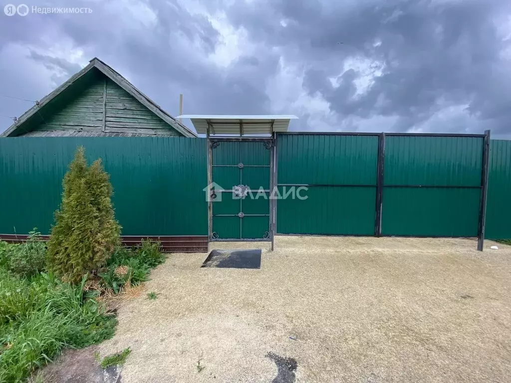 Дом в село Русский Ишим, улица Матрёны Смирновой, 117 (44 м) - Фото 1