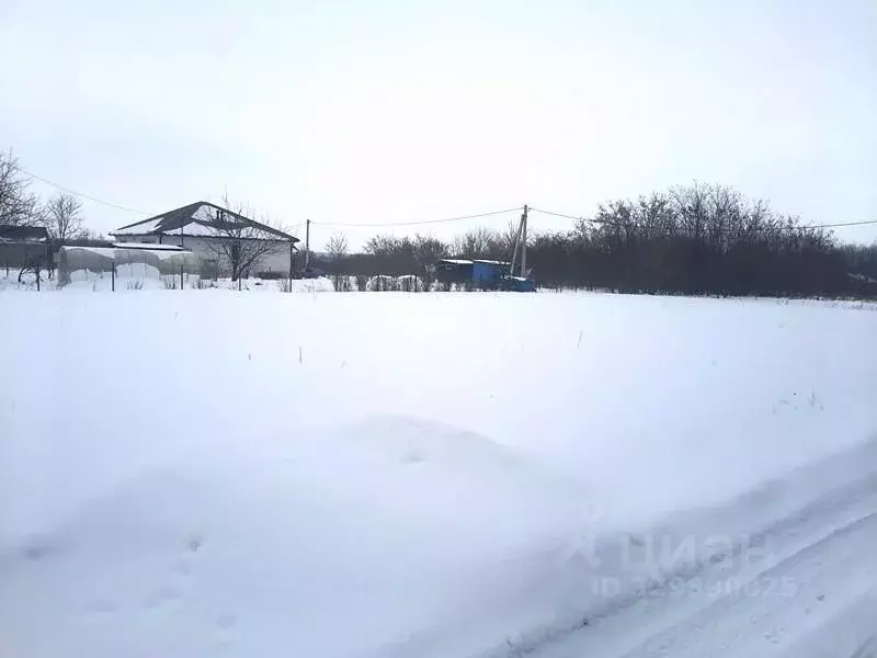 Участок в Белгородская область, Строитель Яковлевский городской округ, ... - Фото 2