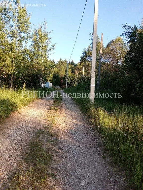 Участок в сельское поселение Кривское, садоводческое некоммерческое ... - Фото 0
