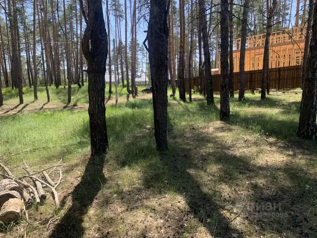 Участок в Самарская область, Красноярский район, Светлое Поле с/пос, ... - Фото 1