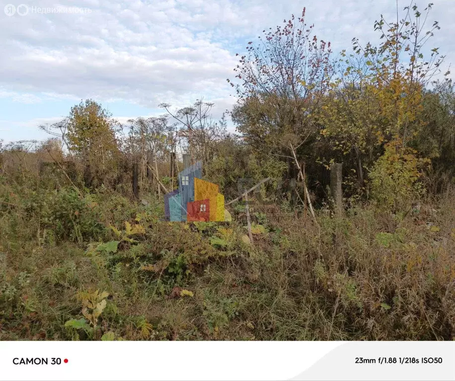 Участок в Тульская область, городской округ Алексин, село Сотино (15 ... - Фото 1