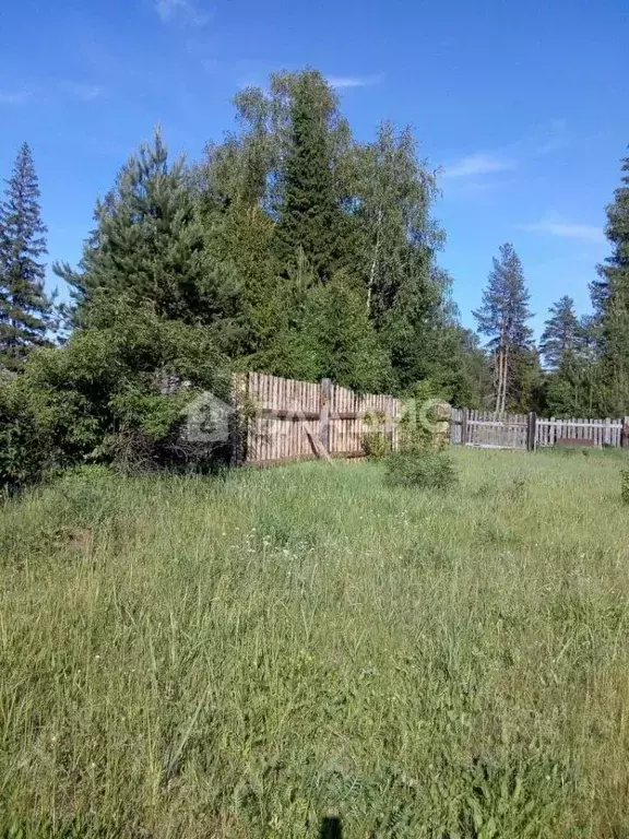 Участок в Владимирская область, Судогодский район, Лавровское ... - Фото 1