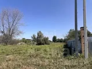 Участок в Ростовская область, Батайск Весна ДНТ, ул. 12-й Проезд (5.8 ... - Фото 1