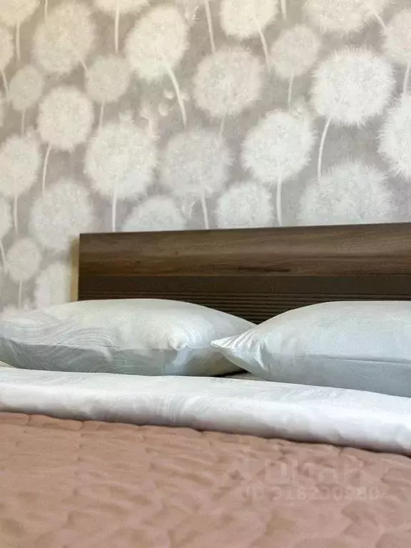 2-к кв. Иркутская область, Иркутск Дальневосточная ул., 29/4 (48.0 м) - Фото 1