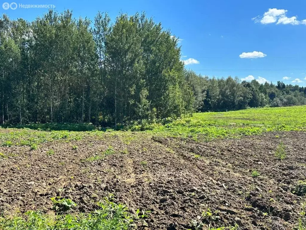 Участок в Московская область, городской округ Клин, коттеджный поселок ... - Фото 0