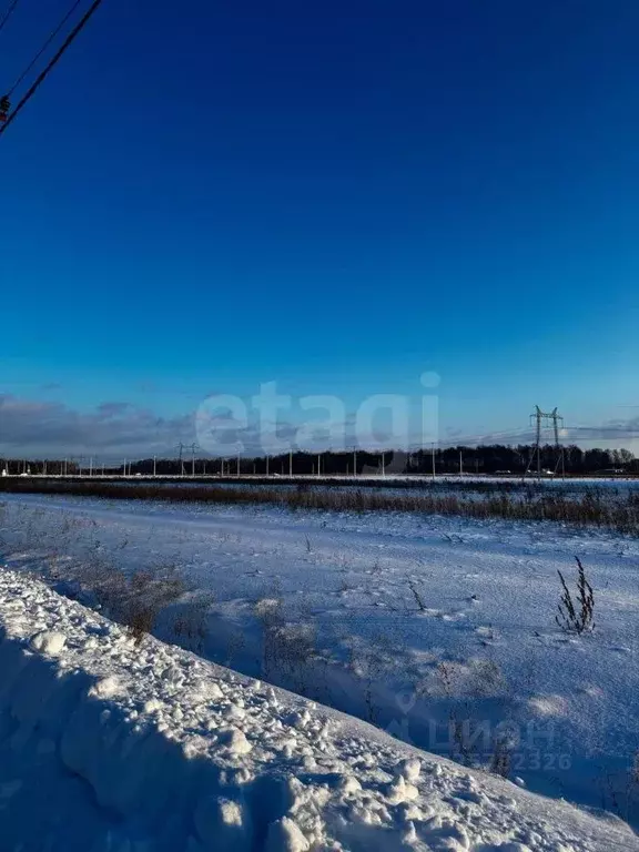 Участок в Тюменская область, Тюменский муниципальный округ, с. Каменка ... - Фото 1