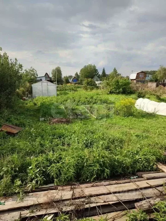 Участок в Новосибирская область, Новосибирский район, Криводановский ... - Фото 1