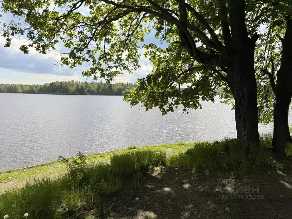 Участок в Московская область, Мытищи городской округ, д. Юрьево ул. ... - Фото 2