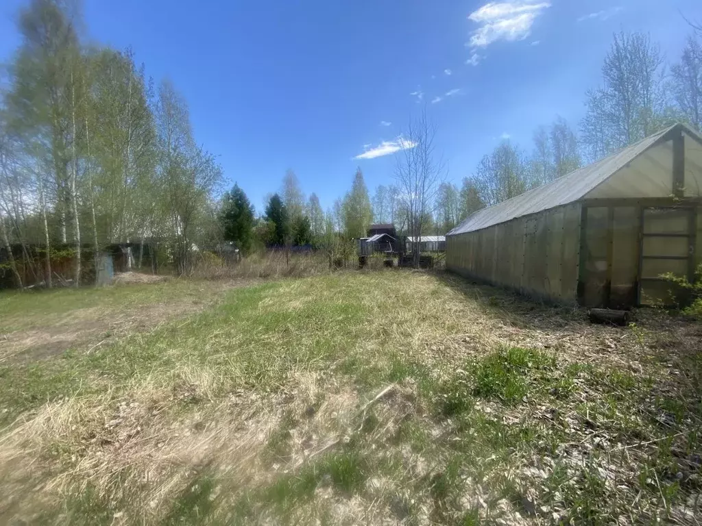 Участок в Ханты-Мансийский АО, Нижневартовск Нефтяник СОНТ,  (6.0 ... - Фото 1