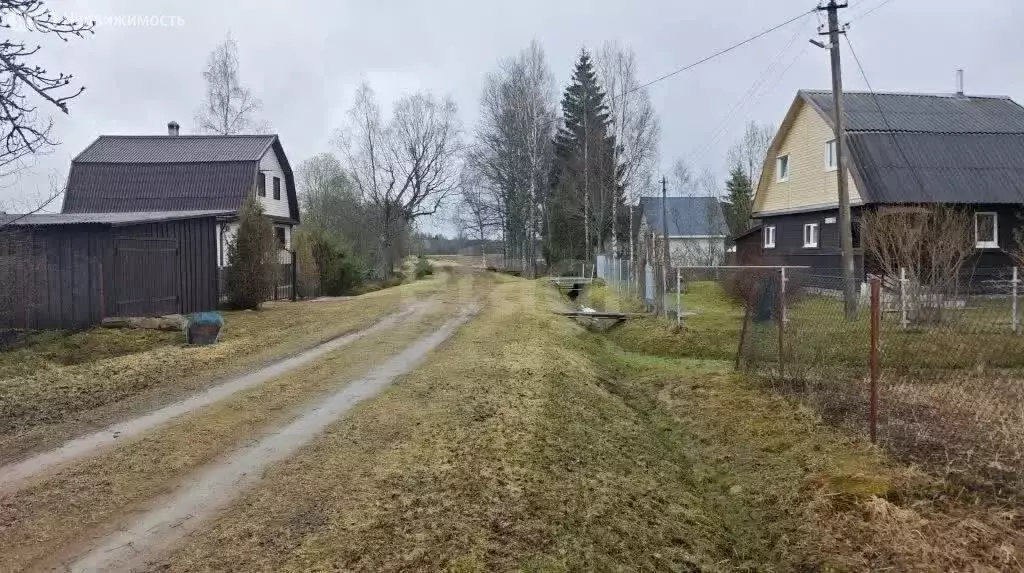 Дом в Будогощское городское поселение, деревня Крестцы (63 м) - Фото 2