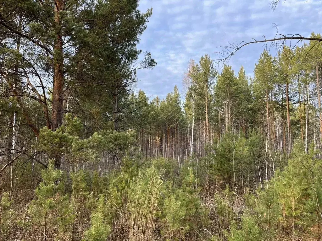 Участок в Тюменская область, Нижнетавдинский район, пос. Торгили  (9.0 ... - Фото 0