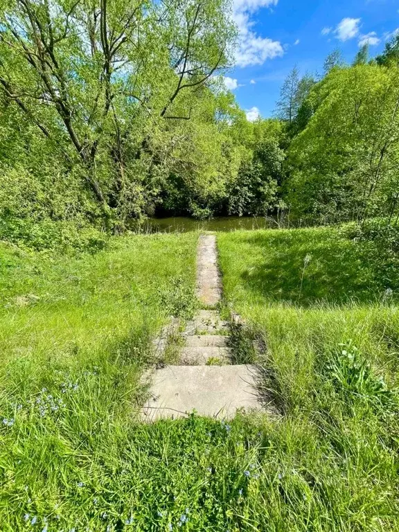 Участок в Московская область, Коломна городской округ, с. Андреевское  ... - Фото 1
