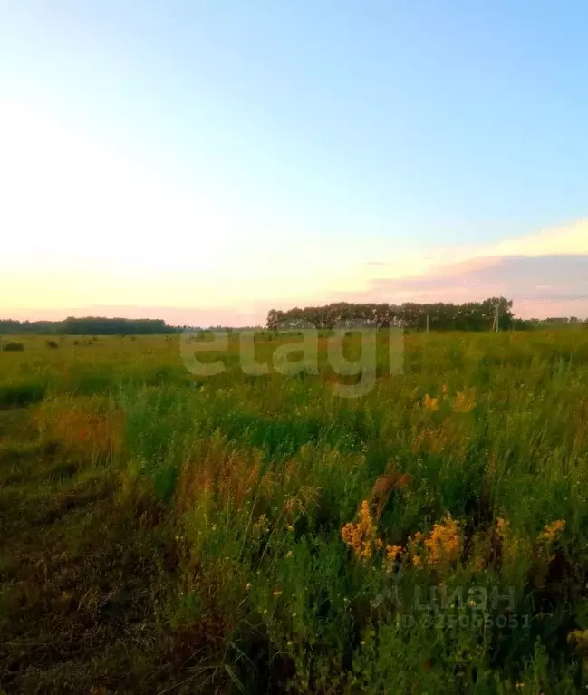 Участок в Мордовия, Лямбирский район, Берсеневское с/пос, д. Русская ... - Фото 2