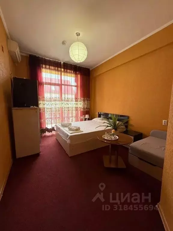 Комната Краснодарский край, Сочи Адлер жилрайон, ул. Чкалова, 34/2 - Фото 0