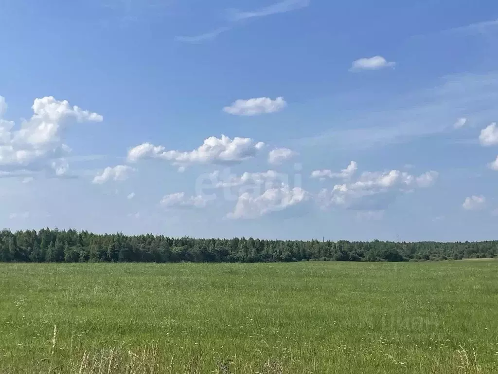 Участок в Смоленская область, Смоленский муниципальный округ, ... - Фото 1