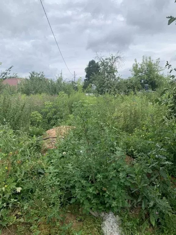 Участок в Калужская область, Перемышльский район, Корекозево с/пос, с. ... - Фото 2